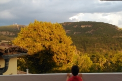 Terraza